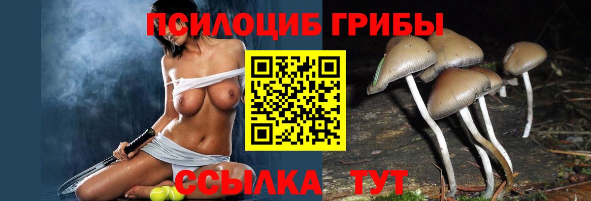 Качканар  Галлюциногенные грибы прущие грибы  Вход с VPN  Псилоцибиновые грибы мицелий 